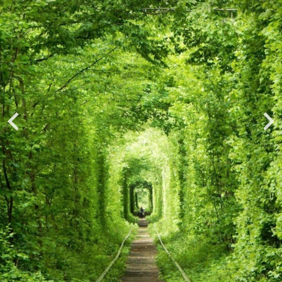 Meet your Posher, Nikki - Picture 1 of 1